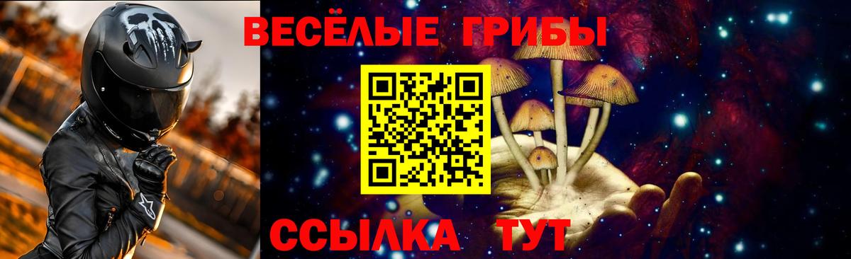 Минусинск  Псилоцибиновые грибы мухоморы  Вход с VPN 